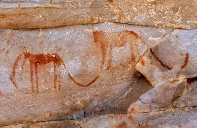 San Rock Paintings, Cedarburg, Western Cape by Unknown